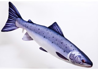 Gaby Atlantic Salmon / Losos
